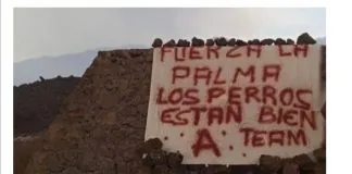 Al parecer rescataron a los perros que estaban atrapados entre la lava en la Isla La Palma de #España