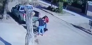 Interpondrán denuncia contra funcionarios municipales acusados de presuntamente abandonar a un animal en El Bosque