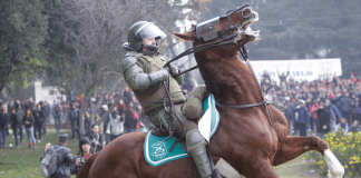 Colmevet alerta por uso de caballos en manifestaciones por parte de Carabineros de Chile