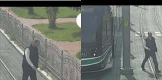 Conductor de tren se detiene para ayudar a una tortuga a cruzar las vias