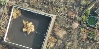 Tratarán de rescatar con drones a animales cercados por lava en España