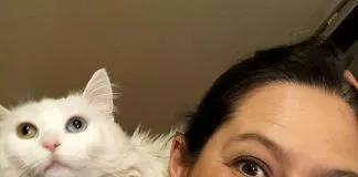 Abogada por los animales y candidata al Senado de la Región Metropolitana hace llamado a sumarse a su campaña