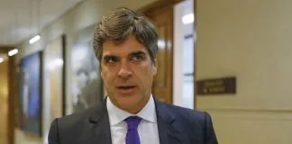 Gonzalo Fuenzalida, candidato a diputado por el Distrito 11, «Hay que darle tratamiento de seres sintientes a los animales»
