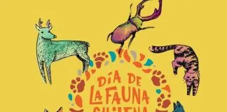 Connie Achurra invita a escoger al próximo embajador de la fauna chilena