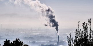 La COP 26 marcó su puntapié inicial en el Día del Veganismo