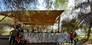 Protección ambiental y a la vida silvestre: La potente propuesta del centro ecológico en el Humedal de Batuco