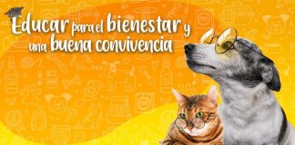 Lanzan nuevo curso de OTEC Colmevet centrado en entrenamiento y comportamiento de animales de compañía