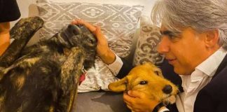 Las propuestas de Marco Enriquez Ominami, abanderado presidencial del Pro, relacionadas con los animales y el medio ambiente