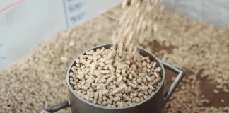 Apuestan por la producción sostenible de combustibles derivados de la madera
