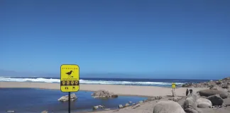 Lanzan video educativo que busca evitar el ingreso de vehículos en playas