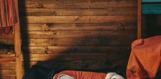 Consejos para elegir la cama ideal para tu perro