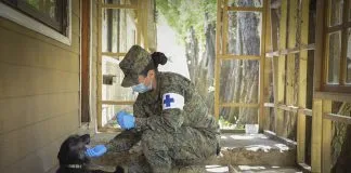 Operativo de vacunación y desparasitación de perros realizó la sección veterinaria del Ejército en Coyhaique