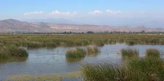 Declaran Laguna Batuco como Santuario de la Naturaleza