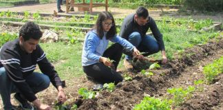 La «sostenibilidad» pasa a ser una asignatura básica obligatoria en uiniversidad europea