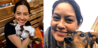 María Celeste Jiménez, abogada animalista y candidata al Senado por la RM, «Los veganos de alguna manera estamos cambiando el mundo»