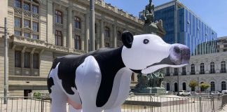Vaca gigante se toma el frontis de la Convención Constituyente para conseguir respaldo a la campaña #NoSonMuebles