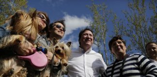 Municipalidad de Talca anuncia hospital veterinario comunal