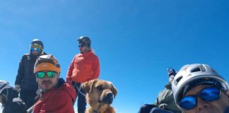 Perrito rescatado de la montaña mexicana busca familia