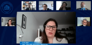 Tribunal Ambiental de Valdivia realizó primera audiencia de alegatos por nueva Ley de Humedales Urbanos