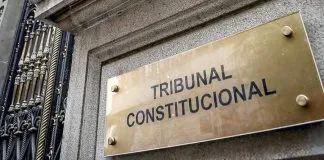 TC declara inadmisible requerimiento de inaplicabilidad presentado por defensa del condenado a causa del criadero clandestino en Providencia