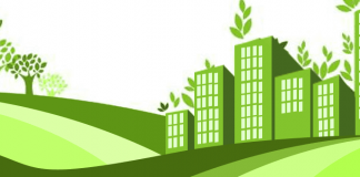 ¿Cómo las empresas buscan llevar a la práctica en sus procesos el cuidado del medio ambiente y la sustentabilidad?