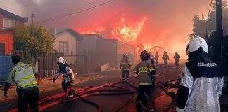 COLMEVET está ayudando a los animales del incendio acaecido en Castro