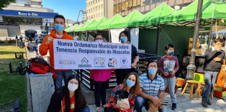 COLMEVET Araucanía valora nueva ordenanza de tenencia responsable de mascotas en la comuna de Temuco