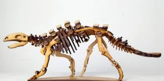 Stegouros elengassen, el nuevo dinosaurio chileno ya tiene versión armable 3D