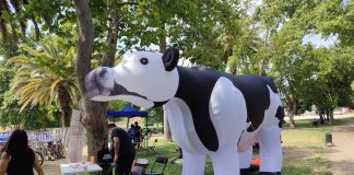 Vaquita gigante recorrió Santiago por una Constitución Animalista