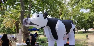 Vaquita gigante recorrió Santiago por una Constitución Animalista