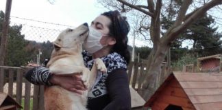 ¡Ayuda a seguir ayudando, aportando en la construcción del nuevo refugio de Sam Altair de la región de Valparaíso ¡