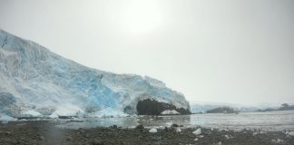 Estudio monitorea el fitoplancton antártico durante la primavera y el inicio del verano austral