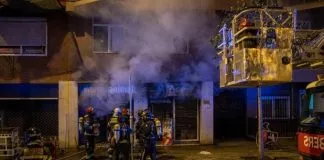 Mueren más de 100 animales en el incendio en una tienda de venta de Barcelona