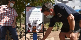 Gobierno Regional impulsa campaña para salvar de la sequía a la fauna nativa metropolitana