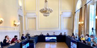 Rechazaron iniciativa de norma constitucional que apuntaba a proteger las «tradiciones chilenas» y declarar la sintiencia en los animales