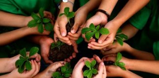 Día de la Educación Ambiental: Los pasos que debería tomar Chile en esta materia