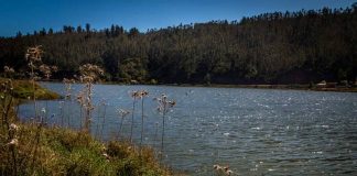 Celebraciones del Día Internacional de los Humedales 2022 incluye seminarios, limpieza de playas, poesía y deporte