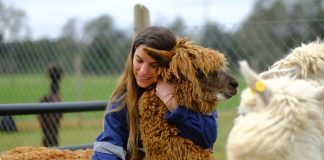 ¿Enero vegano?, vuelve el reto internacional que llama a dejar a los animales fuera del plato