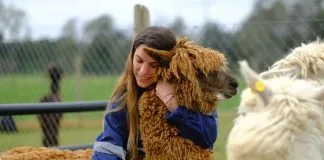 ¿Enero vegano?, vuelve el reto internacional que llama a dejar a los animales fuera del plato