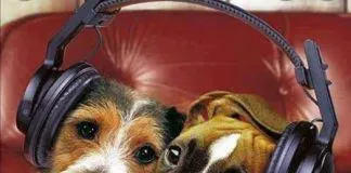 Felinos y perritos chilenos ya tienen su propia radio