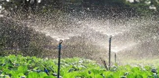 Certificado Azul inició su tercer proceso de adhesión, donde se invita al consumo eficiente del agua