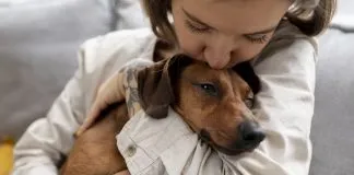 ¿Dónde dejo a mi perro si no lo puedo llevar a mis vacaciones?