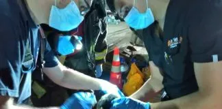 Colmevet Tarapacá apoya a animales afectados por incendio en Laguna Verde de Iquique