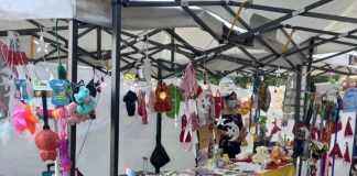 Ayuda a seguir ayudando a PROANI San Miguel, ¡asistiendo a su remate total este sábado¡