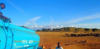 Campesino Keniano ayuda a animales sedientos en un Parque Nacional que sufre de sequía