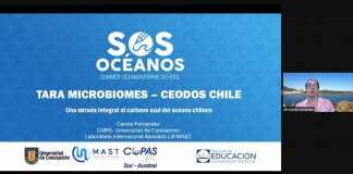 Cambio climático, el océano y nuevas estrategias de divulgación marcaron la versión 2022 de la iniciativa S.O.S. Océanos