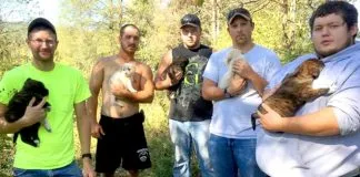 Novio y sus padrinos en su despedida de soltero rescatan a perrita con su camada