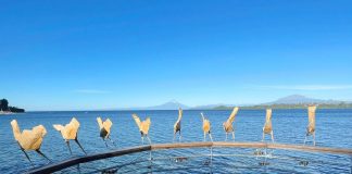 Figuras de origami se toman espacios públicos en Puerto Varas para reflexionar sobre la relación del hombre con la naturaleza