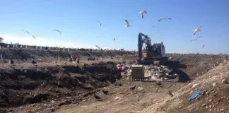 Vertedero industrial de Dicham: Tribunal Ambiental de Valdivia recibió pruebas y alegatos en demanda por daño ambiental