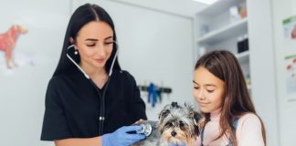 Mitos, verdades y tips sobre la esterilización canina
